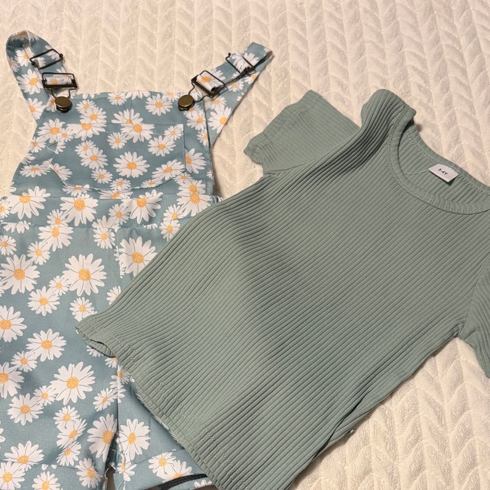 Ribbed Short Sleeve Top in Sage Green - Womens